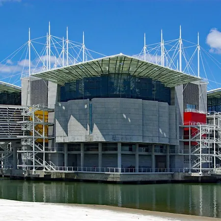 Go Native - Vip Apartamento *